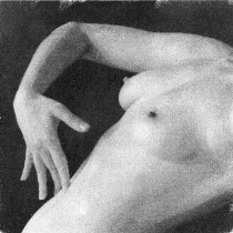 Nude study, felmale figure - wintergreen oil image transfer