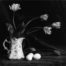 Black and white photograph of tulips in the pitcher and eggs