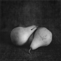 Black and white photograph of a pair of pears